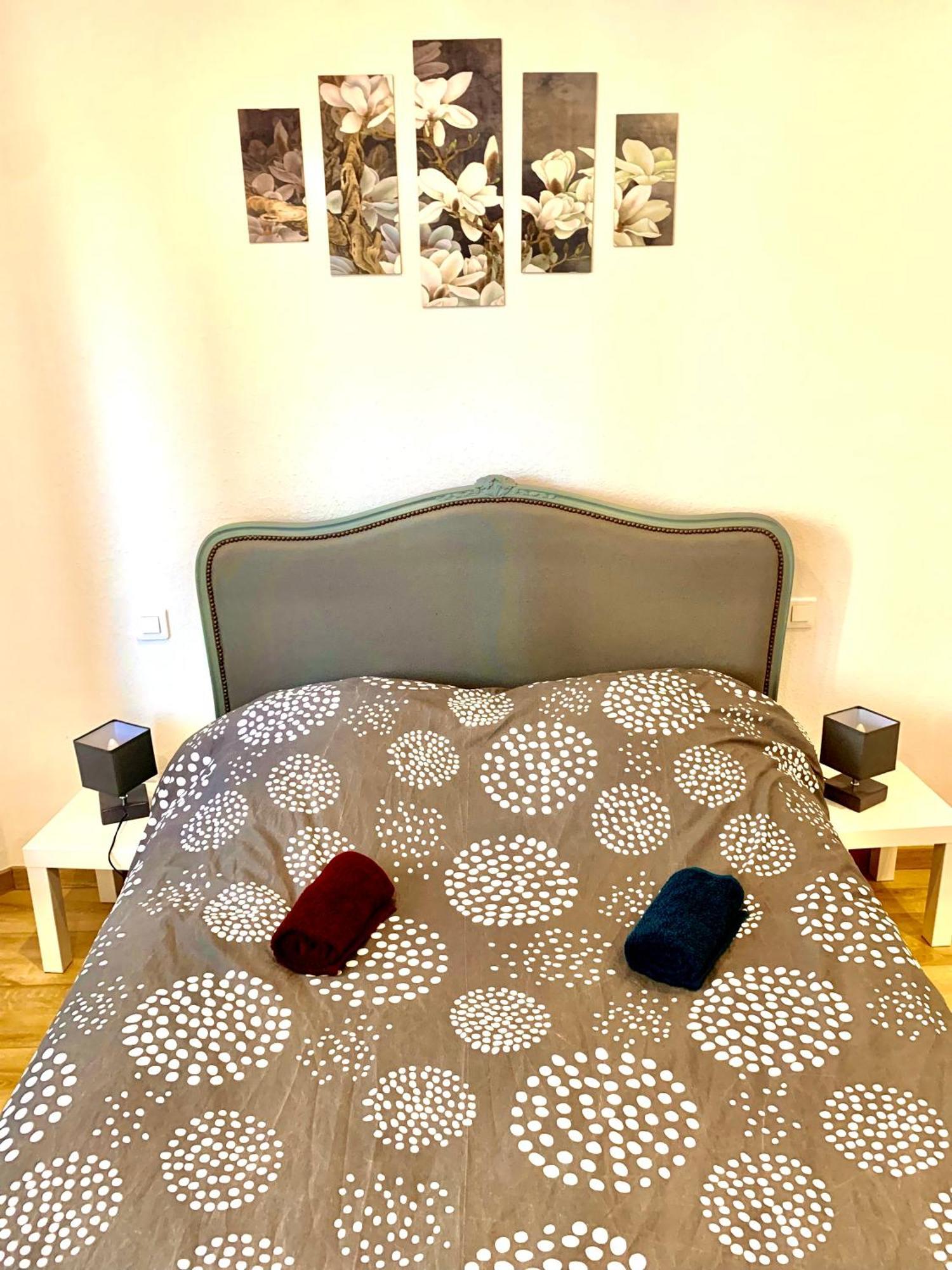 L Indemodable Renove Spacieux Et Lumineux Avec 2 Chambres Sarrebourg Dış mekan fotoğraf
