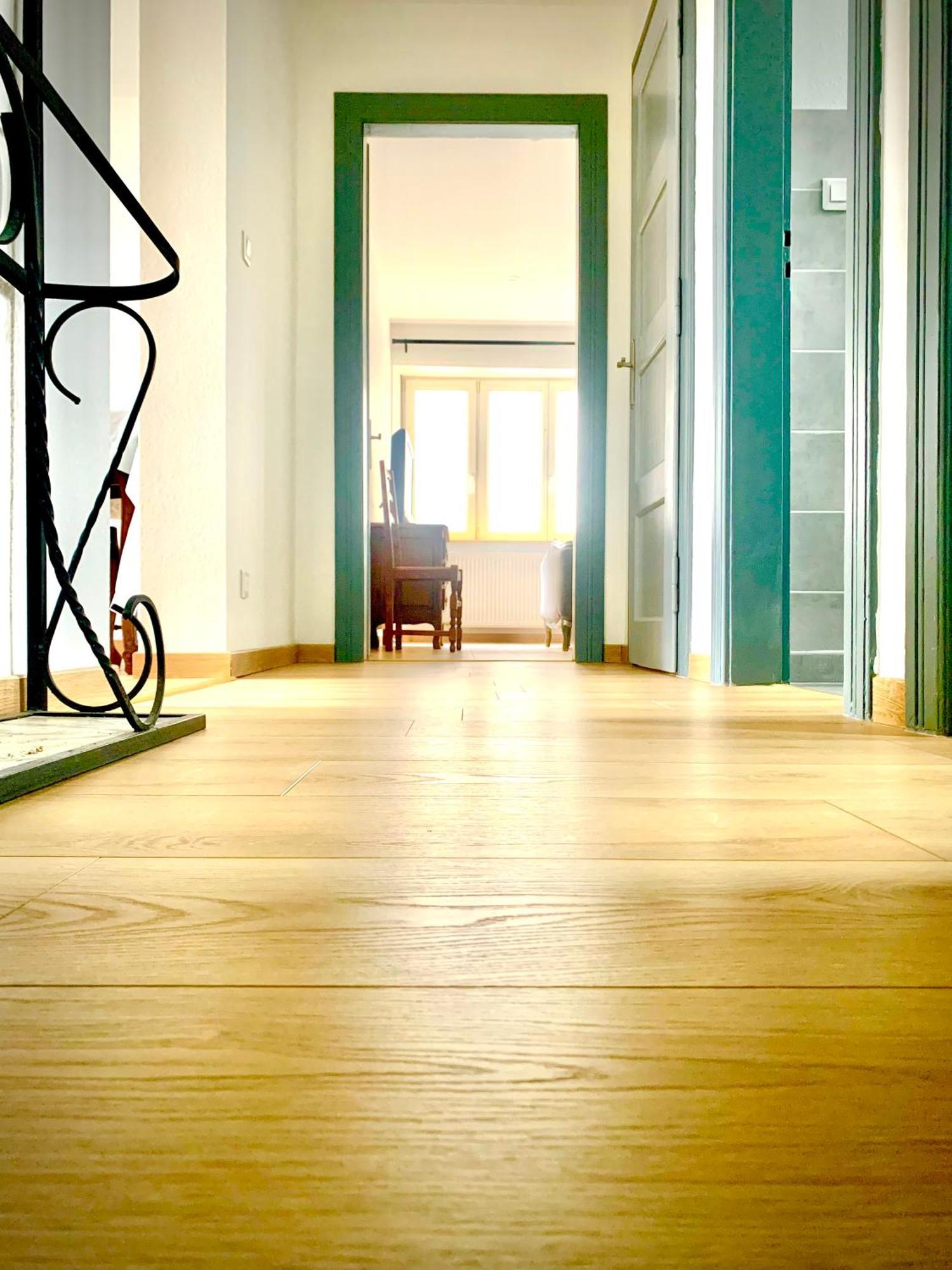 L Indemodable Renove Spacieux Et Lumineux Avec 2 Chambres Sarrebourg Dış mekan fotoğraf