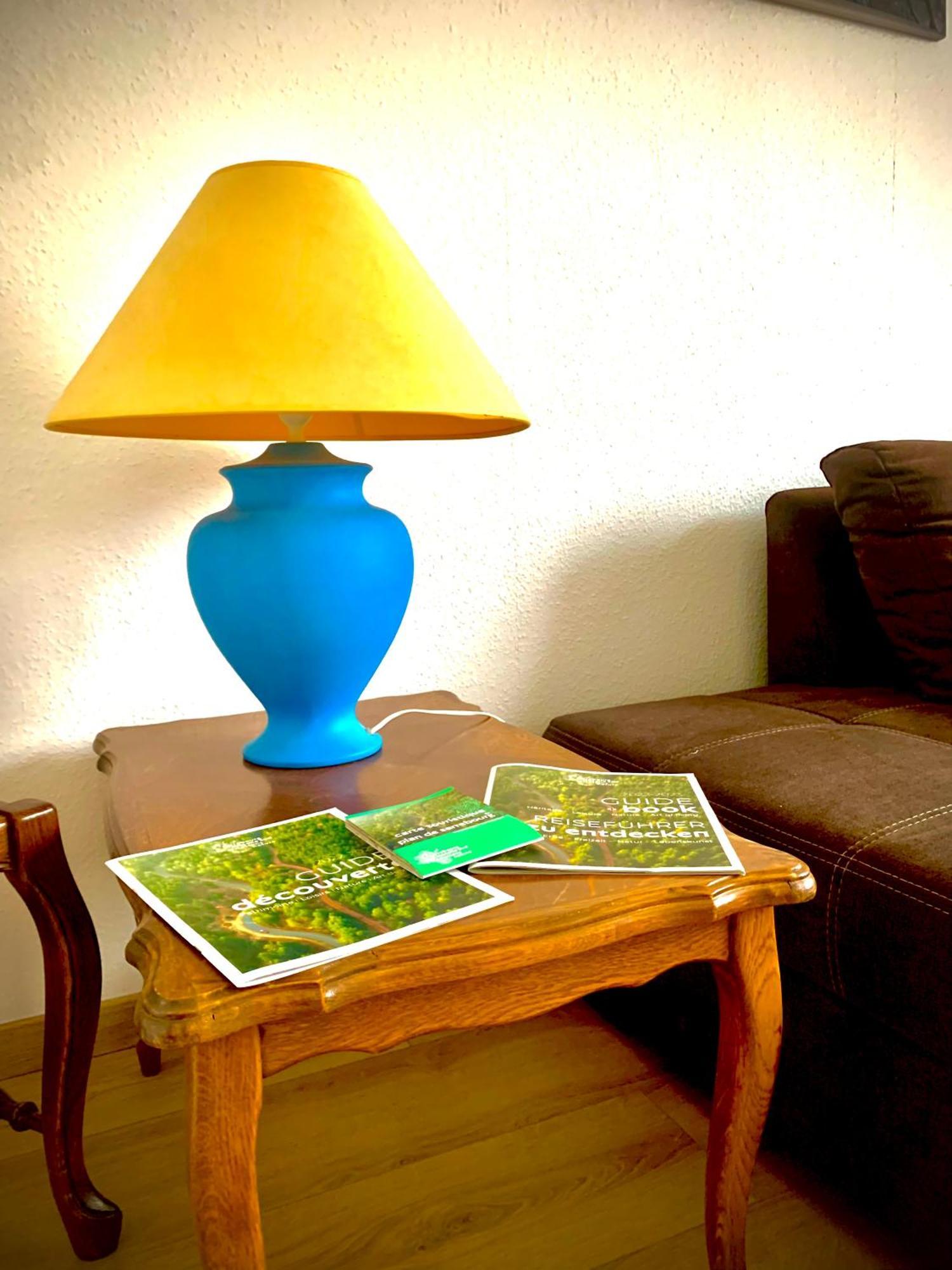 L Indemodable Renove Spacieux Et Lumineux Avec 2 Chambres Sarrebourg Dış mekan fotoğraf